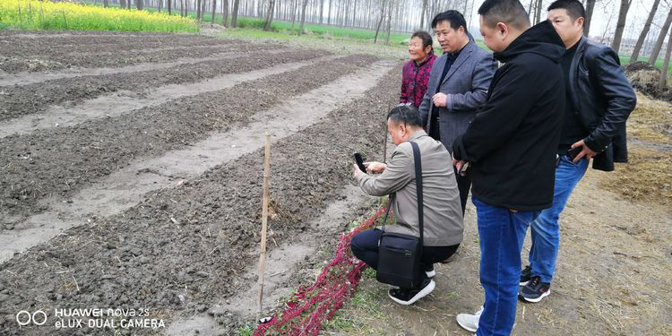 5c977bae0222e.png 5c977bae0222e.png