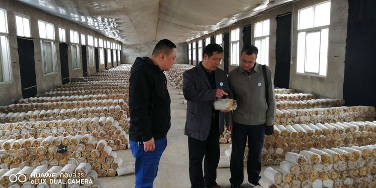 5c977bd62fe9a.png 5c977bd62fe9a.png