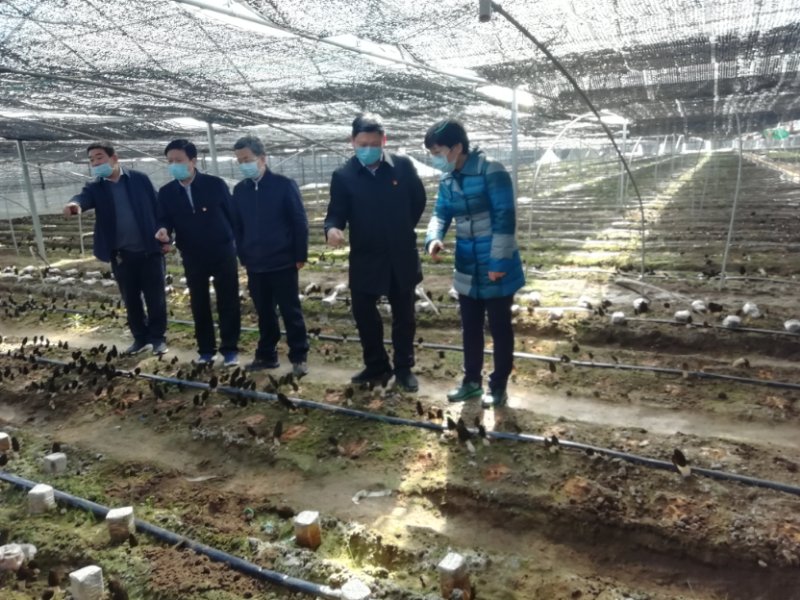 5e5383a89c4fa.jpg 5e5383a89c4fa.jpg