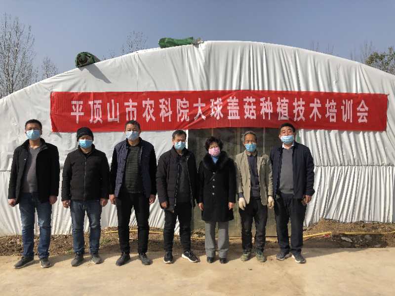 5e538497f40c9.jpg 5e538497f40c9.jpg