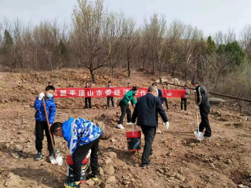 64112e6664ba7.png 64112e6664ba7.png