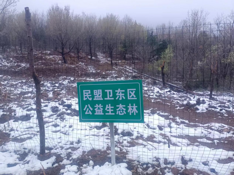 6418196c5d8d3.png 6418196c5d8d3.png